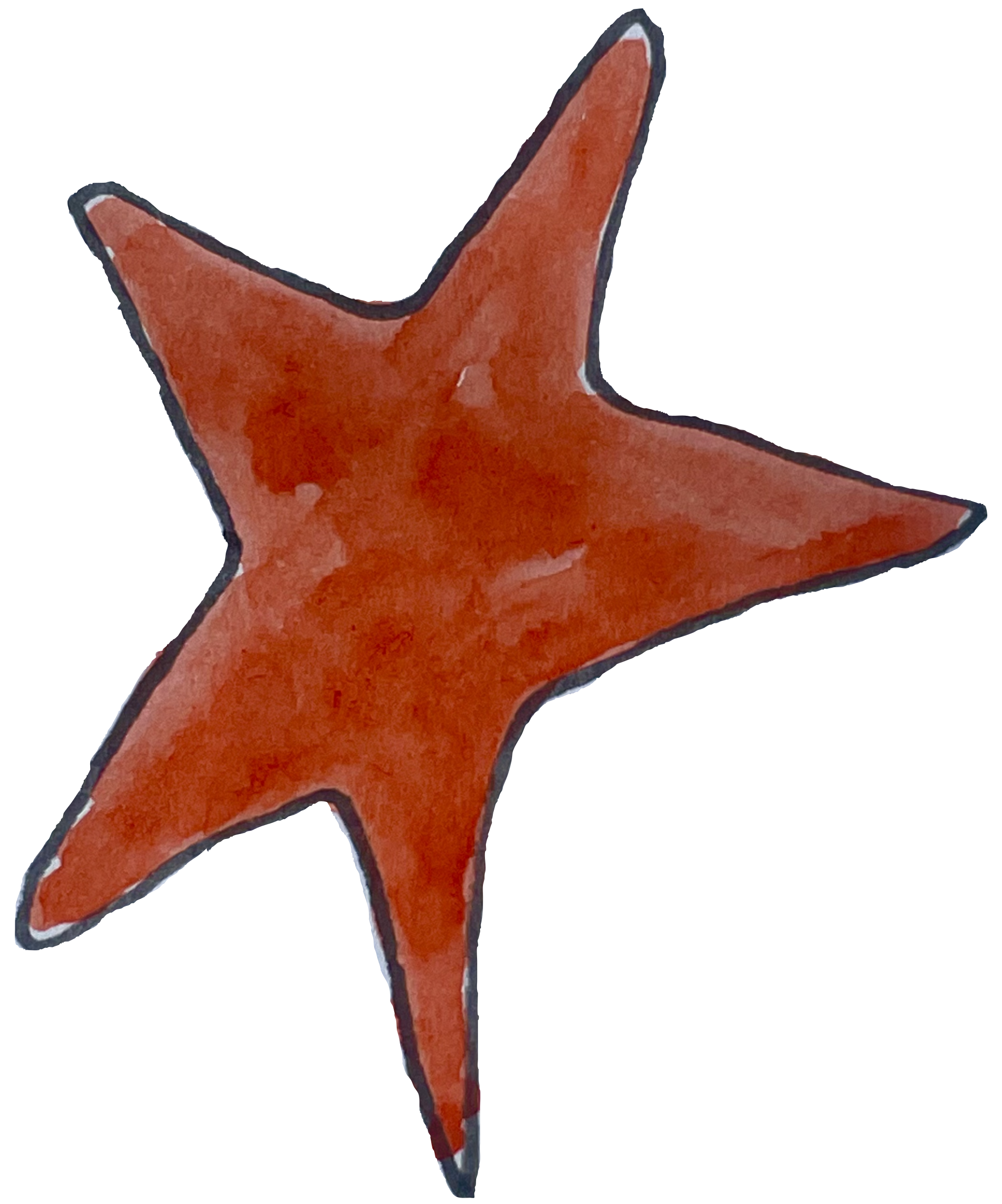Red star icon